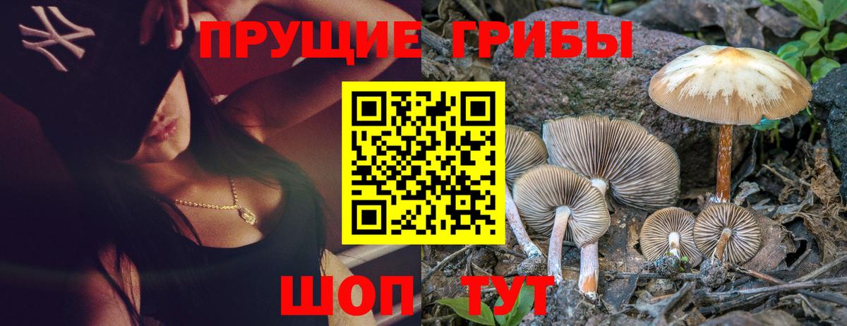 купить закладку  Вход с VPN  Батайск  Галлюциногенные грибы мухоморы 