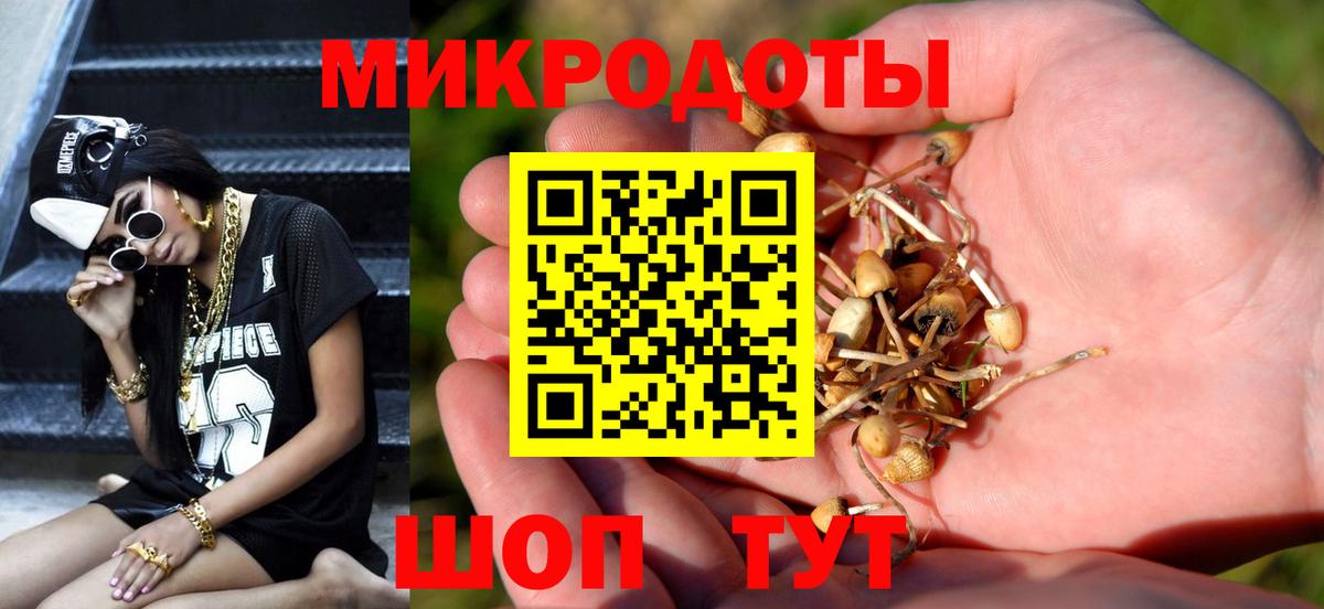 Галлюциногенные грибы Cubensis Батайск